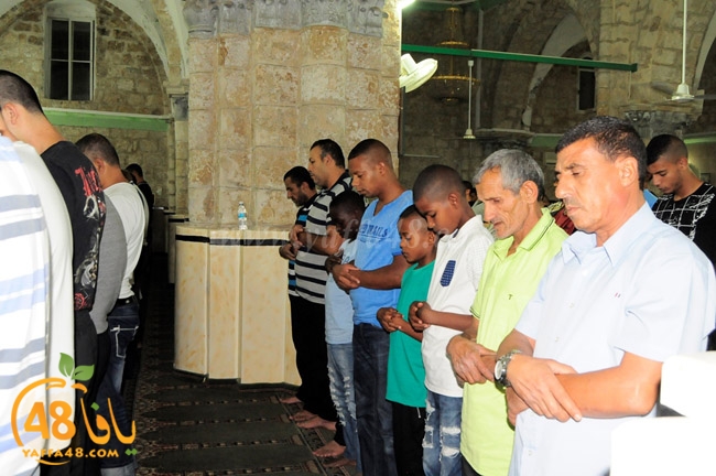 trawe7 ramla kaber (17).JPG